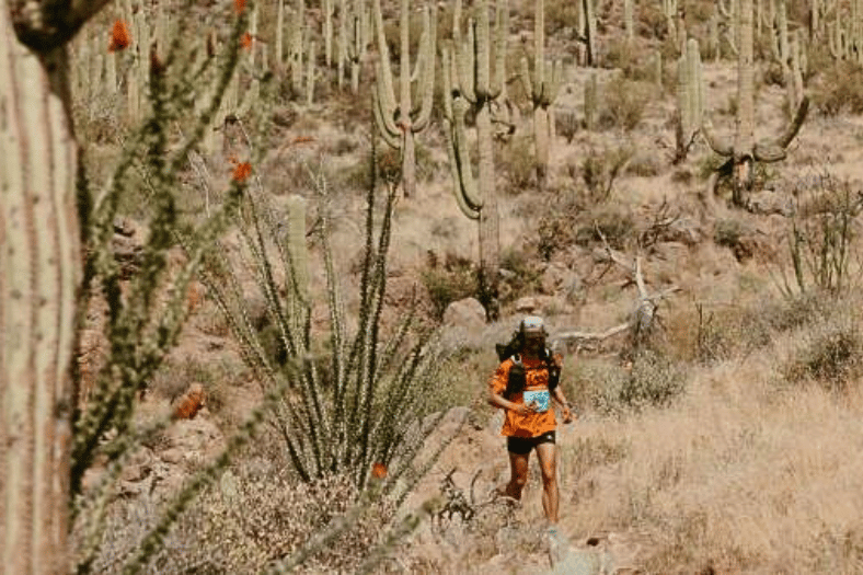 AZ Monster 300