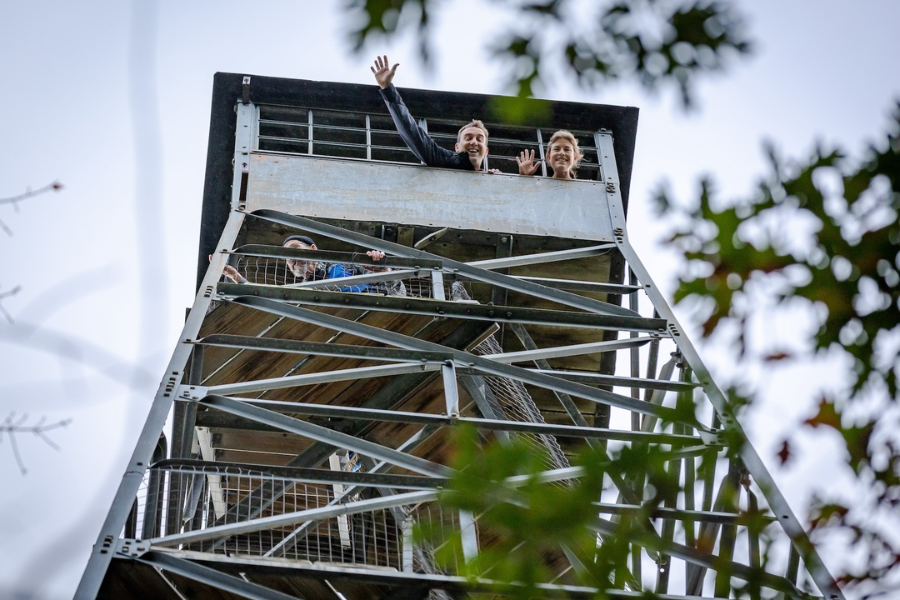 Fire Tower Trail Races